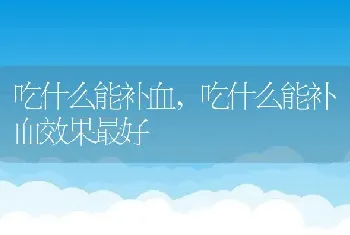 吃什么能补血，吃什么能补血效果最好