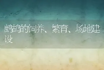 鹧鸪的饲养、繁育、场地建设