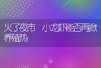 火了夜市 小龙虾能否再掀养殖热