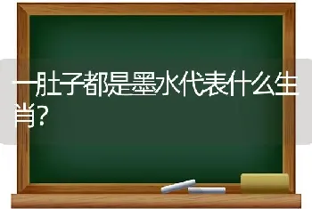 一肚子都是墨水代表什么生肖？