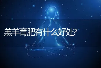 羔羊育肥有什么好处?