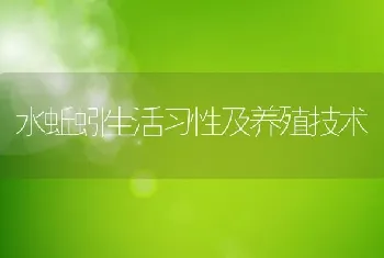 水蚯蚓生活习性及养殖技术