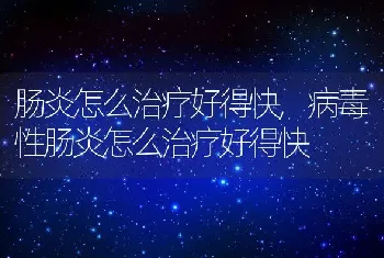 肠炎怎么治疗好得快，病毒性肠炎怎么治疗好得快