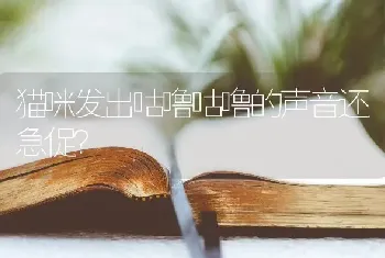 猫咪发出咕噜咕噜的声音还急促？