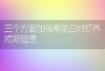 三个方面加强南美白对虾养成期管理