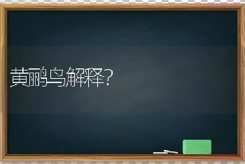 黄鹂鸟解释？