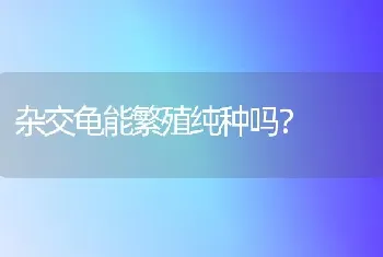 杂交龟能繁殖纯种吗？