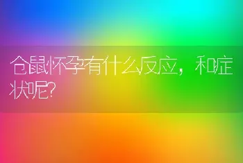 仓鼠怀孕有什么反应，和症状呢？