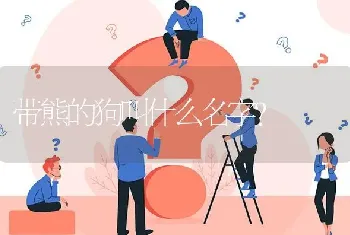 带熊的狗叫什么名字？