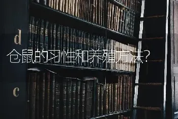 仓鼠的习性和养殖方法？