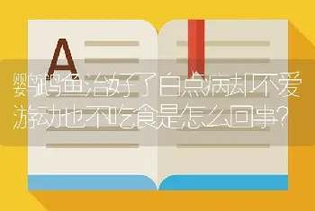 鹦鹉鱼治好了白点病却不爱游动也不吃食是怎么回事？