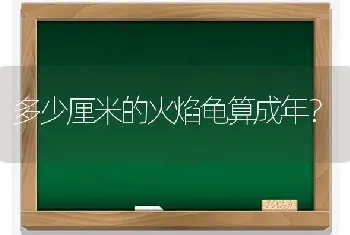 泰迪狗狗细小怎样治疗好的快，怎样可以看出病情好转，谢谢？