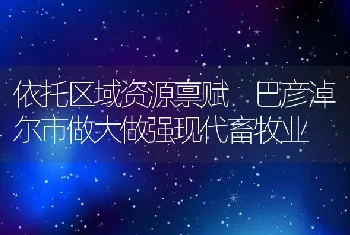 依托区域资源禀赋巴彦淖尔市做大做强现代畜牧业