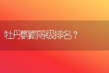 牡丹鹦鹉等级排名？