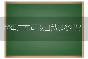 墨蛋广东可以自然过冬吗？