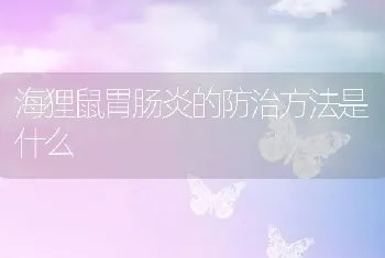 海狸鼠胃肠炎的防治方法是什么