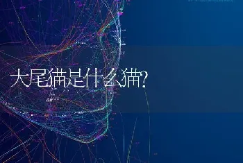 三个月大狗狗 可以吃的生蔬菜？