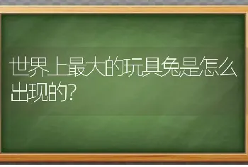 世界上最大的玩具兔是怎么出现的？