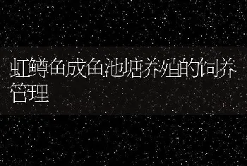 虹鳟鱼成鱼池塘养殖的饲养管理