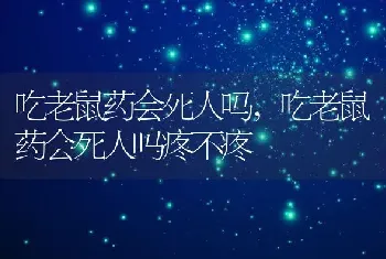 吃老鼠药会死人吗，吃老鼠药会死人吗疼不疼