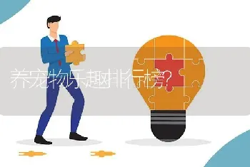 养宠物乐趣排行榜？