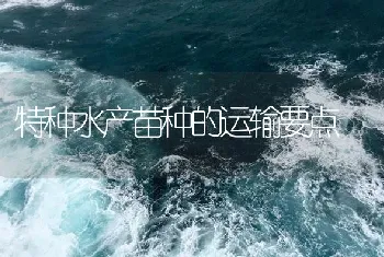 特种水产苗种的运输要点