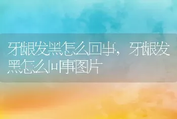 牙龈发黑怎么回事，牙龈发黑怎么回事图片