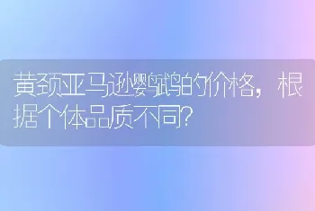 黄颈亚马逊鹦鹉的价格，根据个体品质不同？