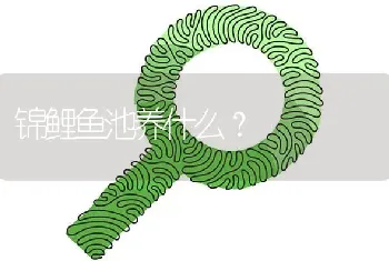 锦鲤鱼池养什么？