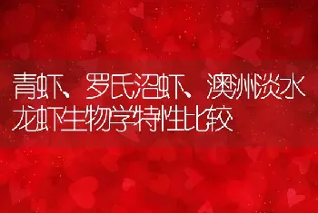 青虾、罗氏沼虾、澳洲淡水龙虾生物学特性比较