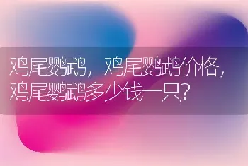 小狗打蔫，没精神，怎么办？