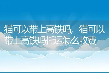 猫可以带上高铁吗，猫可以带上高铁吗托运怎么收费