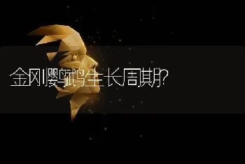 金刚鹦鹉生长周期？