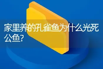 家里养的孔雀鱼为什么光死公鱼？