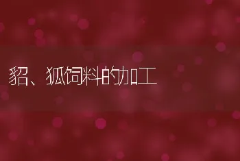 貂、狐饲料的加工