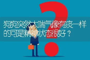 狗狗突然大喘气像有痰一样的可是精神状态很好？