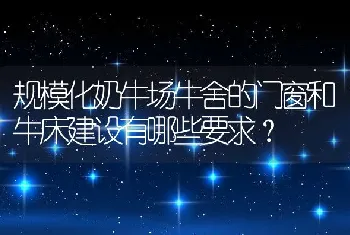 规模化奶牛场牛舍的门窗和牛床建设有哪些要求？