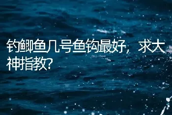 钓鲫鱼几号鱼钩最好，求大神指教？