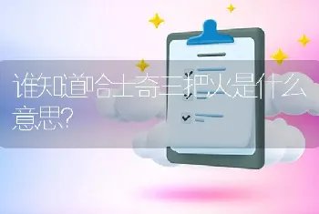 谁知道哈士奇三把火是什么意思？