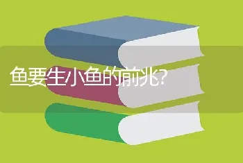 鱼要生小鱼的前兆？