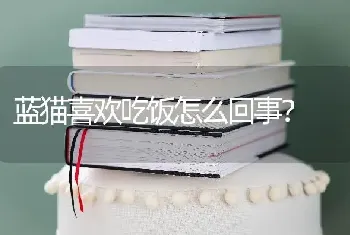 蓝猫喜欢吃饭怎么回事？