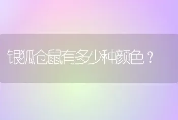 银狐仓鼠有多少种颜色？