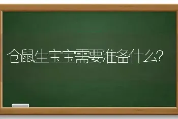 仓鼠生宝宝需要准备什么？