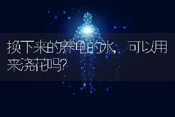 换下来的养龟的水,可以用来浇花吗？