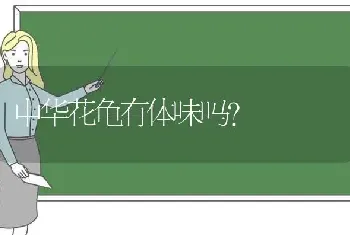 中华花龟有体味吗？