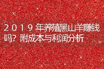 2019年养殖黑山羊赚钱吗？附成本与利润分析