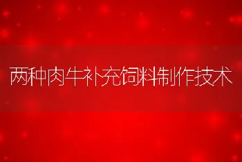 两种肉牛补充饲料制作技术