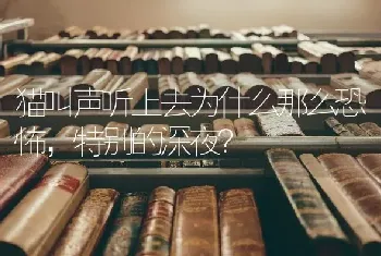 猫叫声听上去为什么那么恐怖，特别的深夜？