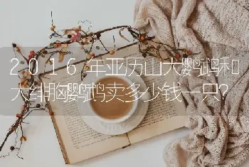 2016年亚历山大鹦鹉和大绯胸鹦鹉卖多少钱一只？