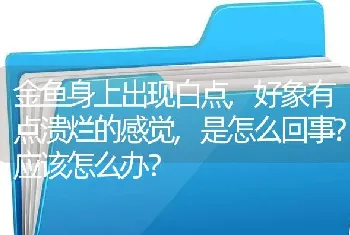 金鱼身上出现白点,好象有点溃烂的感觉,是怎么回事？应该怎么办？